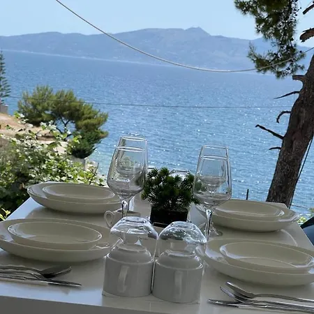 Mane Sarandë